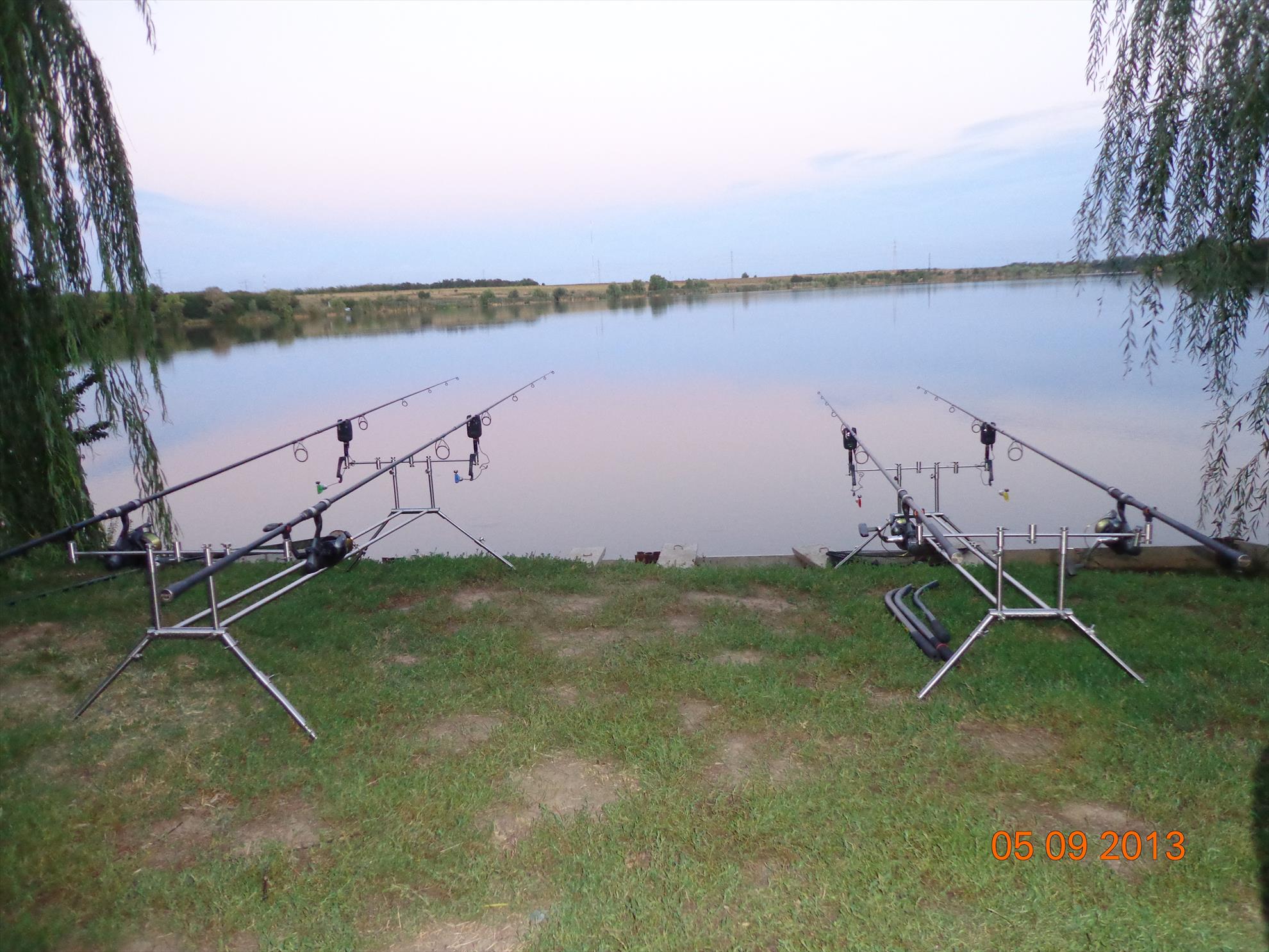 Carp mad - dsc01787.JPG